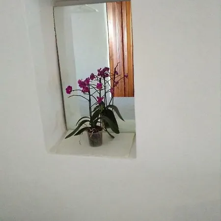 Vico Pergola דירה *